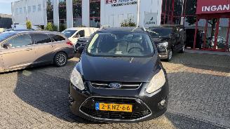 Coche accidentado Ford Grand C-Max 1.0 TITANIUM HAGELSCHADE 2013/6