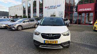 škoda osobní automobily Opel Crossland X 1.2 Turbo 120 Jaar Edition 2019/6