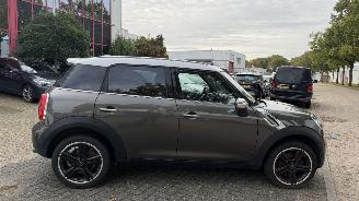 Mini Cooper COUNTRYMAN picture 9