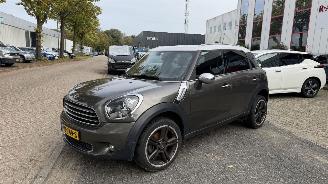 Mini Cooper COUNTRYMAN picture 3