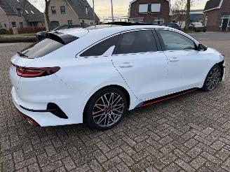 Kia Pro cee d 1.6 T-GDi  150 Kw GT-Line automaat picture 14