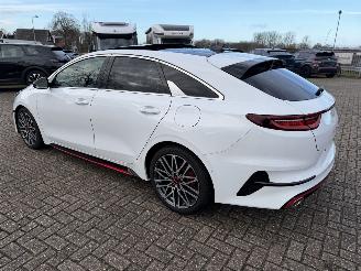 Kia Pro cee d 1.6 T-GDi  150 Kw GT-Line automaat picture 2