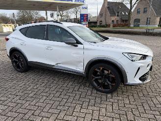 Cupra Formentor 2.0 -180 Kw Automaat VZ picture 14