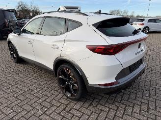 Cupra Formentor 2.0 -180 Kw Automaat VZ picture 11