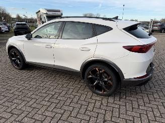 Cupra Formentor 2.0 -180 Kw Automaat VZ picture 6