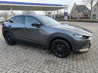Mazda CX-30 2.5 MHEV 104 Kw Automaat Homura picture 7