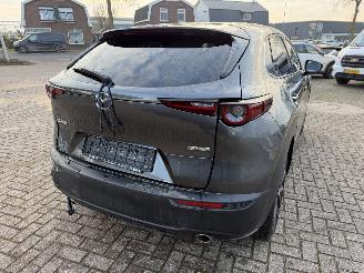 Mazda CX-30 2.5 MHEV 104 Kw Automaat Homura picture 13
