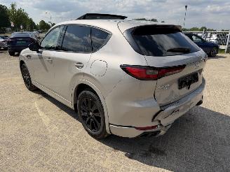 Mazda CX-60 2.5 PHEV  Homura AWD picture 16
