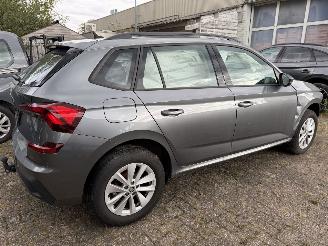 Skoda Kamiq Business picture 25