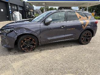 Cupra Terramar 1.5 eTSi 150 Pk automaat picture 9