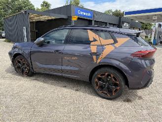 Cupra Terramar 1.5 eTSi 150 Pk automaat picture 11