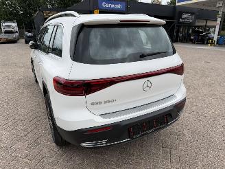 Mercedes EQB 250+ Elektro 140 Kw picture 14