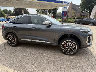 Avarii autoturisme Audi SQ5 3.0 - 270 Kw Sportback   Nieuwste model 2026/1