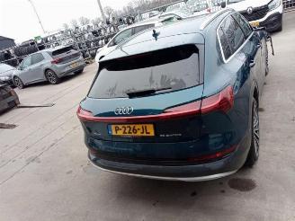 Audi E-tron e-tron (GEN), SUV, 2018 / 2023 55 quattro picture 4