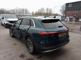 Audi E-tron e-tron (GEN), SUV, 2018 / 2023 55 quattro picture 5