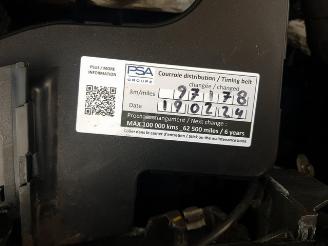 Citroën C4 cactus 1.2 PureTech Origins picture 24