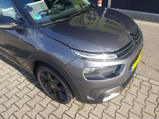 Citroën C4 cactus 1.2 PureTech Origins picture 9