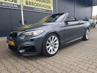 BMW 2-serie Cabrio M235i High Executive picture 37