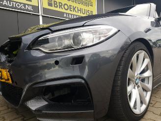 BMW 2-serie Cabrio M235i High Executive picture 36