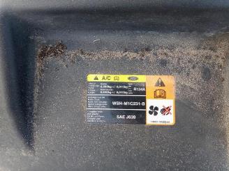 Ford S-Max S-Max (GBW), MPV, 2006 / 2014 2.5 Turbo 20V picture 11