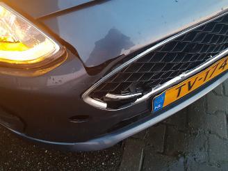 Ford Fiesta 1.1 Trend picture 10