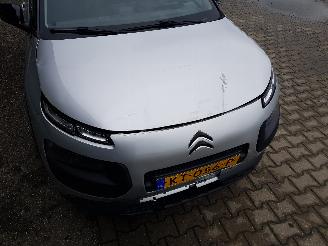 Citroën C4 cactus 1.2 PureTech Shine picture 9