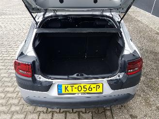 Citroën C4 cactus 1.2 PureTech Shine picture 22