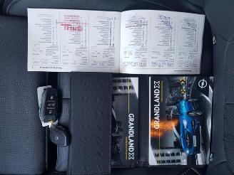 Opel Grandland 1.2 Turbo Business Executive picture 24