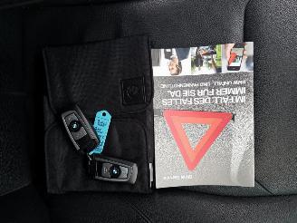 BMW 3-serie Touring 318i Centennial High Executive LUXURY picture 29