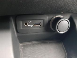 Renault Scenic 2.0 Bose Automatic picture 30