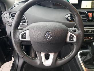 Renault Scenic 2.0 Bose Automatic picture 19