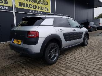 Citroën C4 cactus 1.2 PureTech Shine picture 8