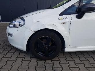 Fiat Punto Evo 0.9 TwinAir Young picture 11