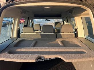 Volkswagen Caddy 1.2 TSI Trendline picture 25