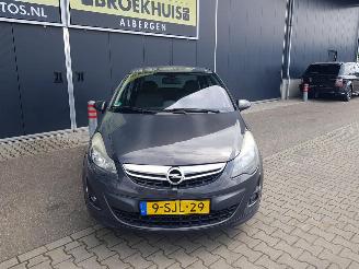 Opel Corsa 1.4 Turbo Cosmo OPC-Performance picture 3