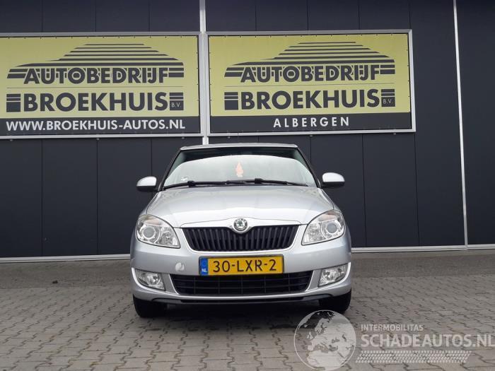 Skoda Fabia Fabia II Combi, Combi 5-drs, 2007 / 2014 1.2 TDI 12V Greenline