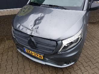 Mercedes Vito 119 CDI Lang Power picture 11