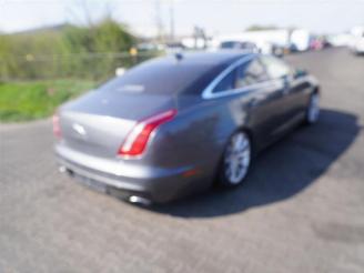 disassembly passenger cars Jaguar XJ 3.0 D 2016/1