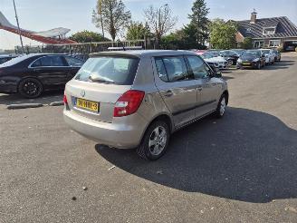 Damaged car Skoda Fabia 1.2i 12V 2008/10