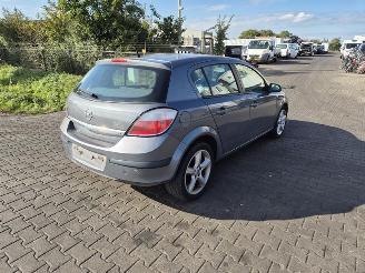 Dezmembrări autoturisme Opel  ECOTEC 2005/1