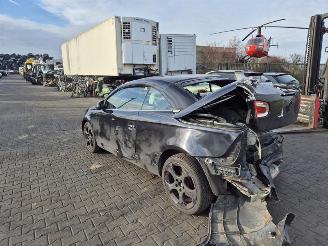 Volkswagen Eos 2.0 TDi picture 2