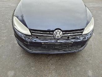 Volkswagen Golf Variant 1.4 TSi picture 5