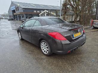 Peugeot 308 CC 1.6 16v picture 2