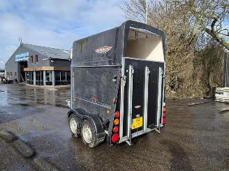 -  Thiel Pico picture 2