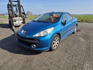 Peugeot 206 CC 2.0 16v picture 3