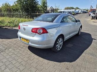 rozbiórka samochody osobowe Volkswagen Eos 2.0 FSi 2007/1