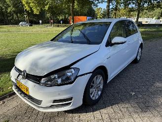 Avarii autoturisme Volkswagen Golf  2017/1