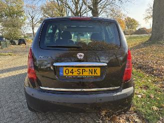 Lancia Musa  picture 4