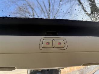 Lancia Musa  picture 19