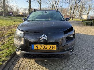Citroën C4 cactus  picture 8
